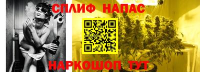 МДПВ Краснознаменск