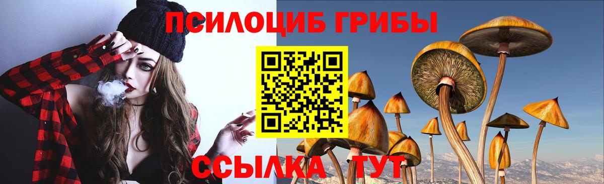 Галлюциногенные грибы MAGIC MUSHROOMS  Псилоцибиновые грибы Cubensis  Вход с VPN  Кизляр 